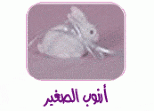 حكاية ارنوب الصغير