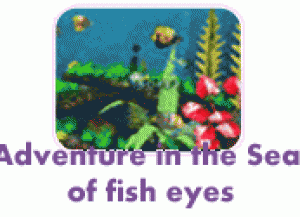 Adventure in the Sea of fish eyes