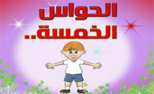 الحواس الخمس