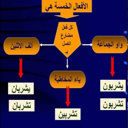 الأفعال الخمسة