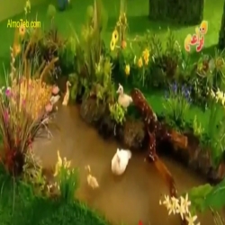 حدائق الغابة الخضراء -شجيرات الورد