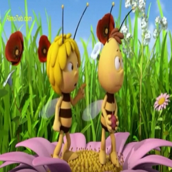 زينة النحلة - الكمان