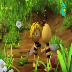زينة النحلة - حديقة زينة 