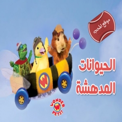 الحيوانات المدهشة wonder pets