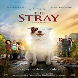 فلم الدراما العائلي الكلب الضال The Stray 2017 مترجم للعربية