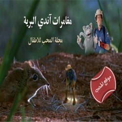 مغامرات اندي البرية