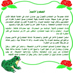 الضفدع الأصم