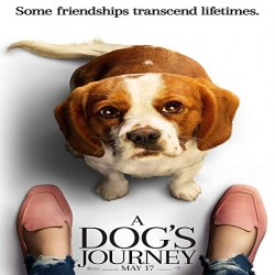 فيلم رحلة كلب A Dogs Journey 2019 مترجم