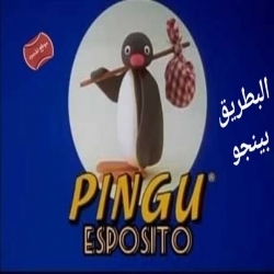 مسلسل الكرتون البطريق بينجو الموسم الثالث