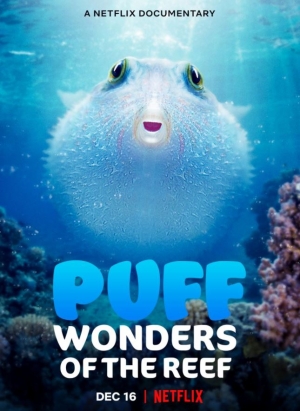 فيلم السمكة باف المنتفخة عجائب الشعاب المرجانية Puff: Wonders of the Reef 2021 مترجم