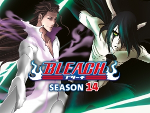 مسلسل الانمي Bleach الجزء الرابع عشر - مدبلج للعربية