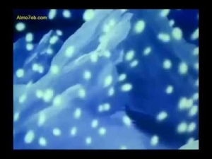 مغامرات نحول - الحلقة 49