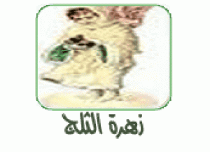 قصة زهرة الثلج