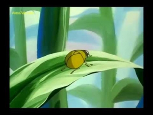 مغامرات نحول - الحلقة 65