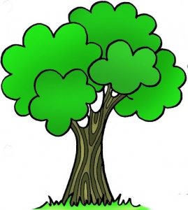 حكاية الشجرة الأم