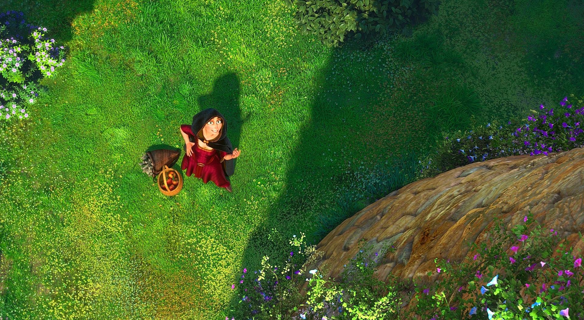 صور خلفيات فلم الكرتون الجميل رابونزيل Tangled 2010